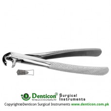 Hawk's Bill English Pattern Tooth Extracting Forcep Fig. 73S (For Lower Molars; Small Beaks) Stainless Steel, Standard